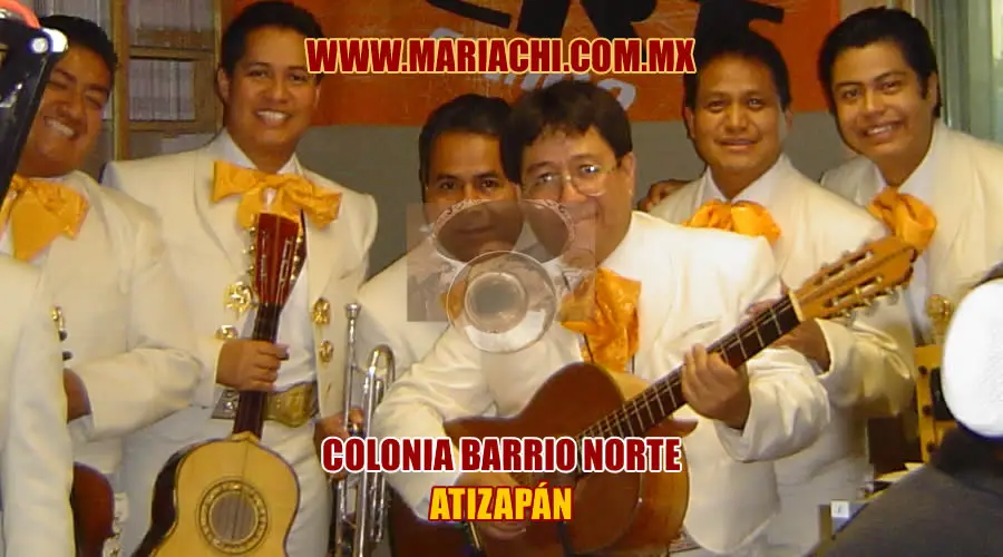 Mariachis en Colonia Barrio Norte 