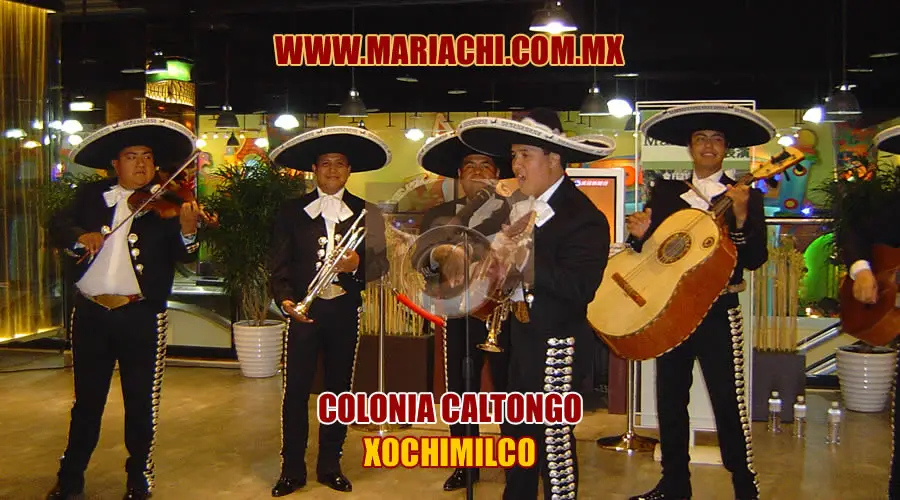 Mariachis en Colonia Caltongo