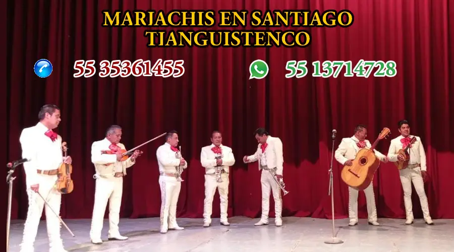 Mariachis en Santiago Tianguistenco 
